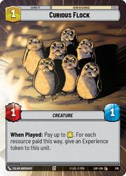Curious Flock