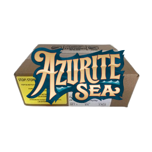 Azurite Sea Booster Box Case