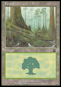 Forest