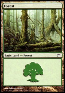 Forest
