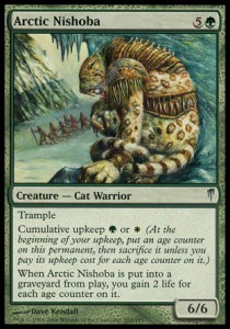 Arctic Nishoba