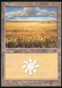 Plains