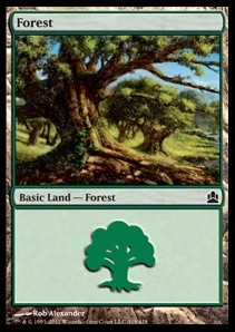 Forest