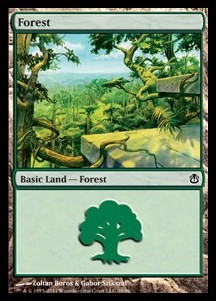 Forest