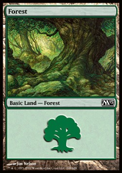 Forest