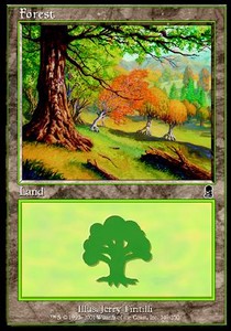 Forest