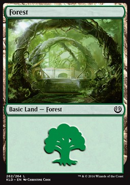 Forest