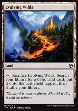 Evolving Wilds