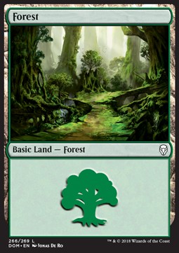 Forest