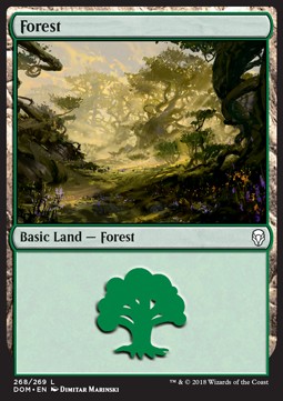 Forest