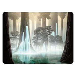 Art Series: Waterlogged Grove
