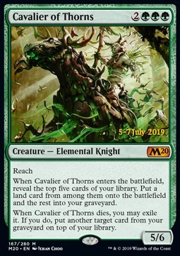 Cavalier of Thorns