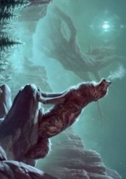 Art Series: Sarulf's Packmate