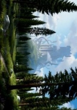 Art Series: Forest