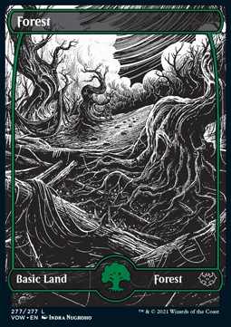 Forest