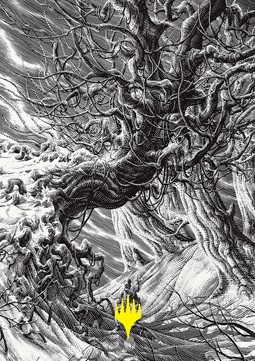 Art Series: Forest