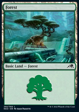 Forest