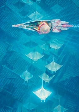 Art Series: Discover the Impossible