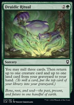Druidic Ritual
