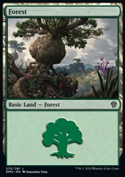 Forest