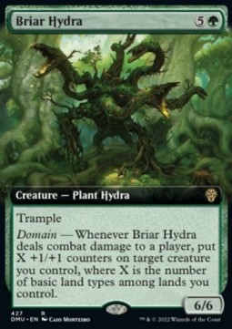 Briar Hydra