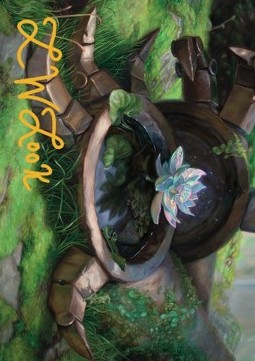 Art Series: Timeless Lotus