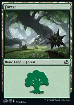 Forest