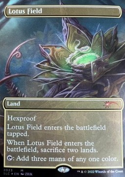 Lotus Field