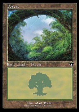 Forest