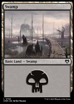 Swamp