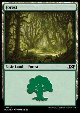 Forest