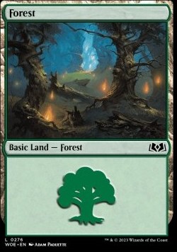 Forest