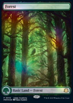 Forest