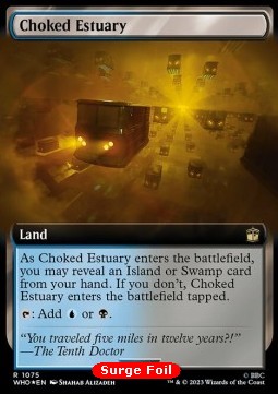 Choked Estuary