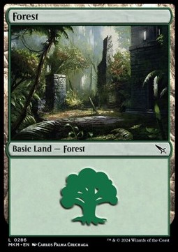 Forest