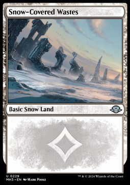 Snow-Covered Wastes