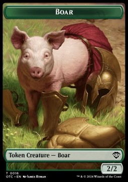 Boar // Manifest