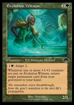 Evolution Witness