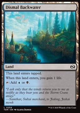 Dismal Backwater