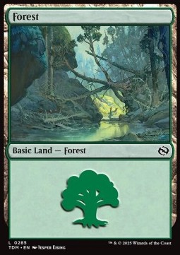 Forest