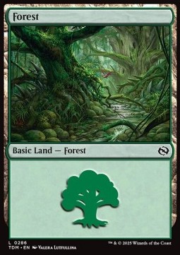 Forest