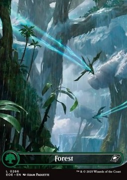 Forest