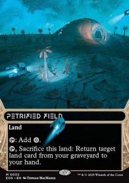 Petrified Field