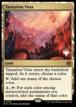 Tarnation Vista