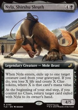 Nyla, Shirshu Sleuth