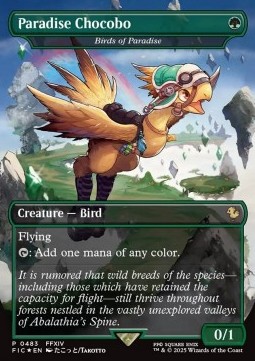 Birds of Paradise