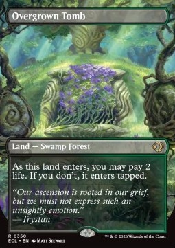 Overgrown Tomb // Overgrown Tomb