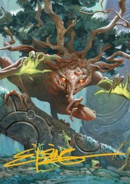 Art Series: Ferrafor, Young Yew