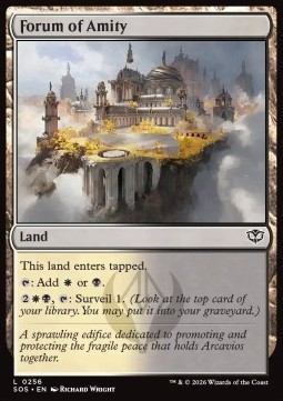 Forum of Amity