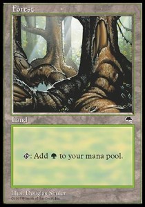 Forest